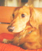 �J�C�g�P