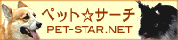 �y�b�g���T�[�`
